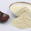 Wholesale China Suppliers Food Additives Food Grade Lactobacillus Paracasei Probiotic Powder